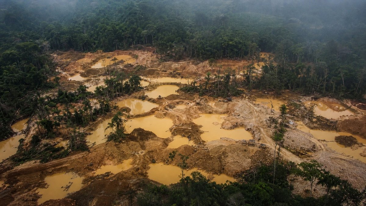 Garimpo fantasma lava ouro ilegal e expõe rombo bilionário na Amazônia